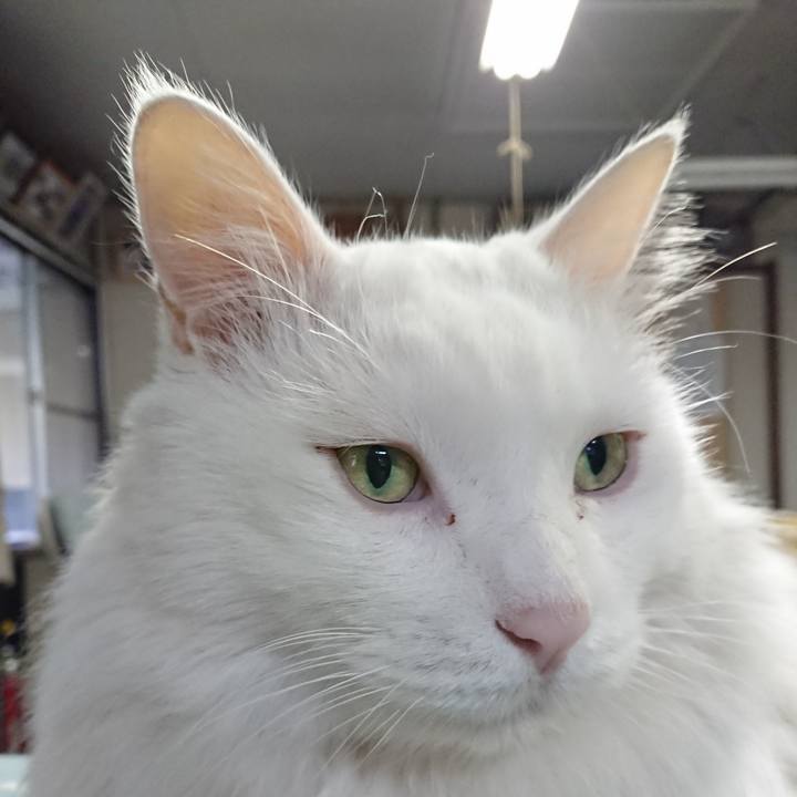 0096f6c6 f995 482a 8bc1 0cf5d5f4cb1a 1571783237210