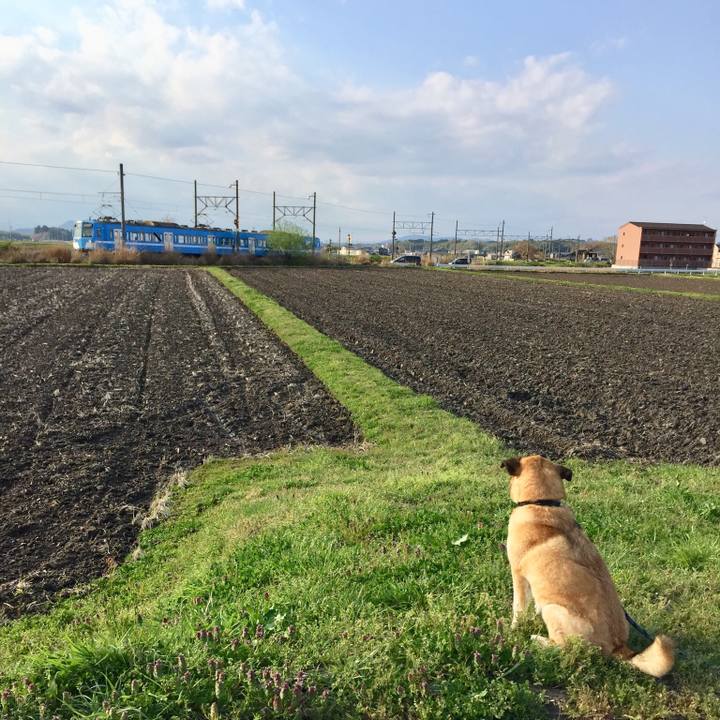 00972570 b41e 47e5 ba6e af799325f6fc 1523177808065