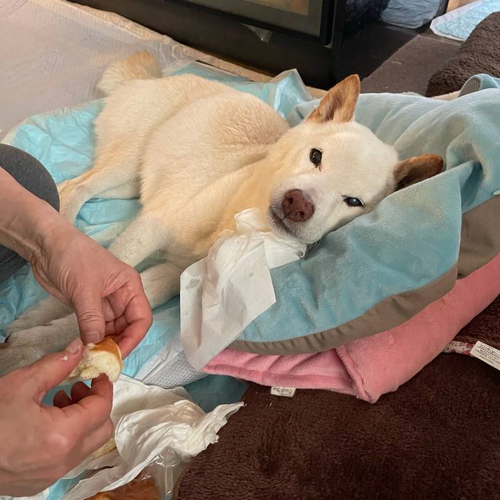 0097296d b9e7 420c ae04 500a5eea7107 1649908342076