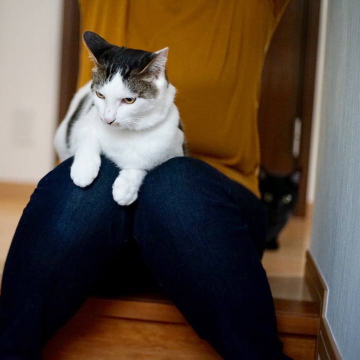 00972a4b 1e07 4384 becd fdc0b52cb3a6 1525131303783