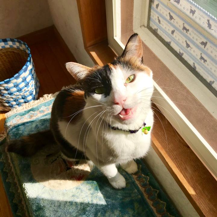 00974d38 4cbd 47f9 90ca 45899e107a61 1519276958014