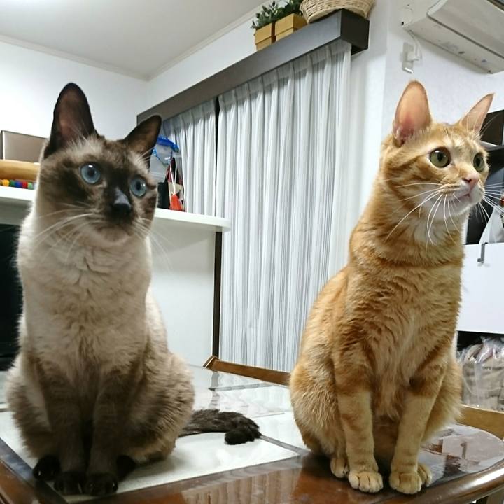 00979add a30a 4917 8d2f 77da2f1d9cdf 1557060147776