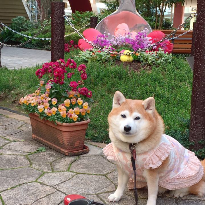 0097a277 069f 43d4 80fa b09b34d7b99c 1552537959302