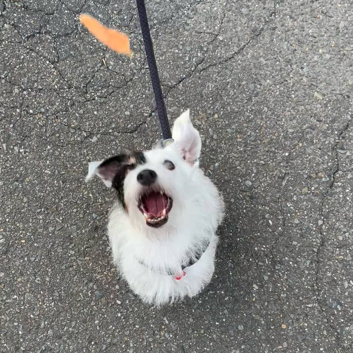 0097bec3 a396 4397 82fb ef0f2dd99a03 1695855602780