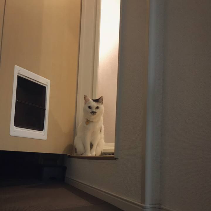 0097ced7 9386 4292 9ef2 b0c458a1626f 1567659689442