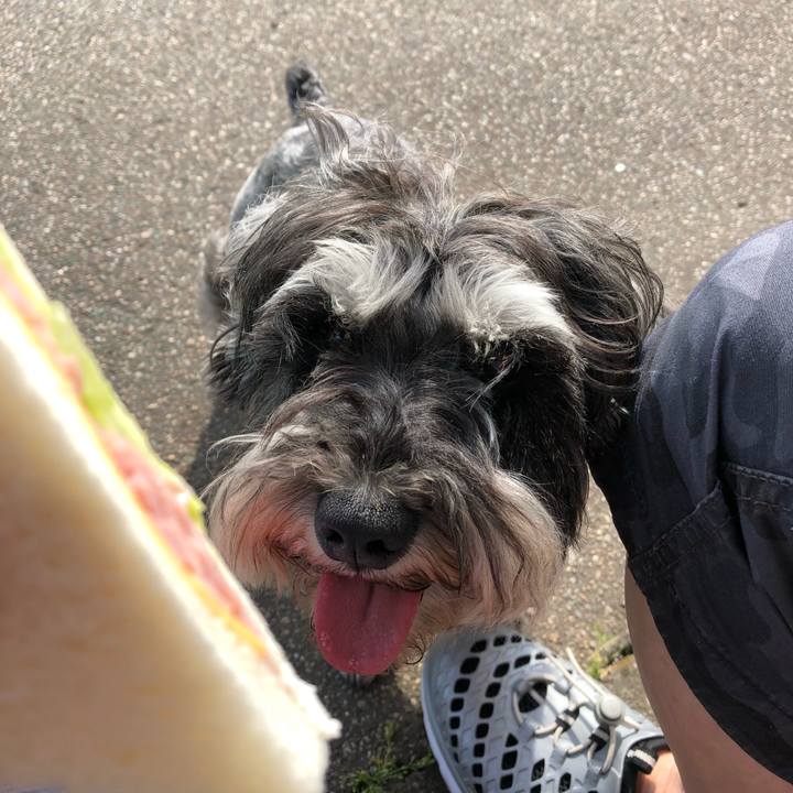 0097e66e 91b3 4285 9d7b a32e3c1f8dcf 1560060543586