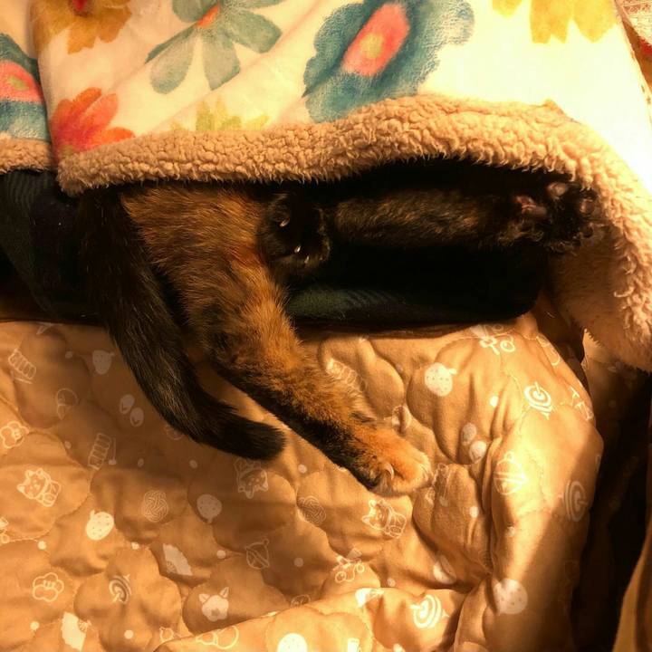 009812cb b3dc 4adf 824b 252f258565b0 1608604249054