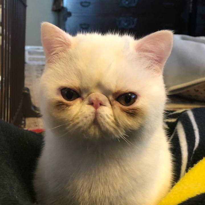 009814bd 41a6 4fd3 9b5c 38c7638e8f69 1553260319442