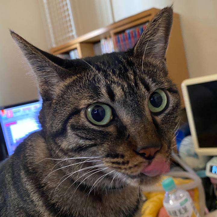 009867df eaaa 4271 bf03 60eac5672a8c 1597815947723