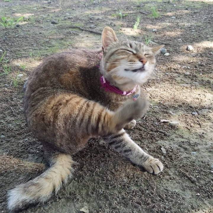 00987160 f191 4231 ba34 d44aa2f2c847 1649925514515