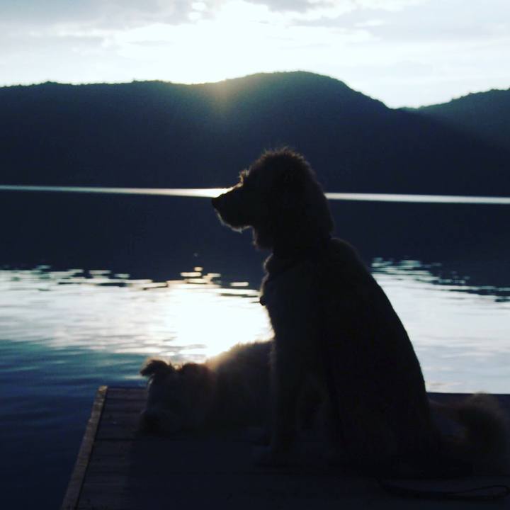 0098794b 1869 46e3 a786 aaba18f10eee 1600396182964