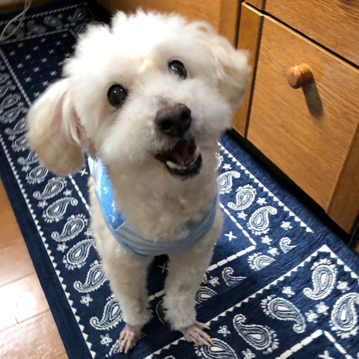 0098a1b5 b475 4347 98af 1a7cefef95b9 1560444845288