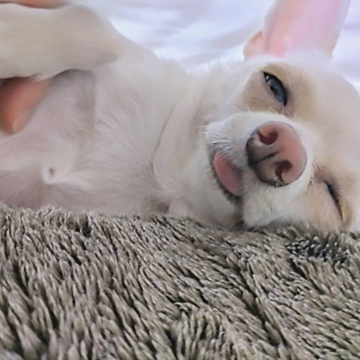 0098a427 5917 4ca1 a0e6 32570de58ec8 1716728274926