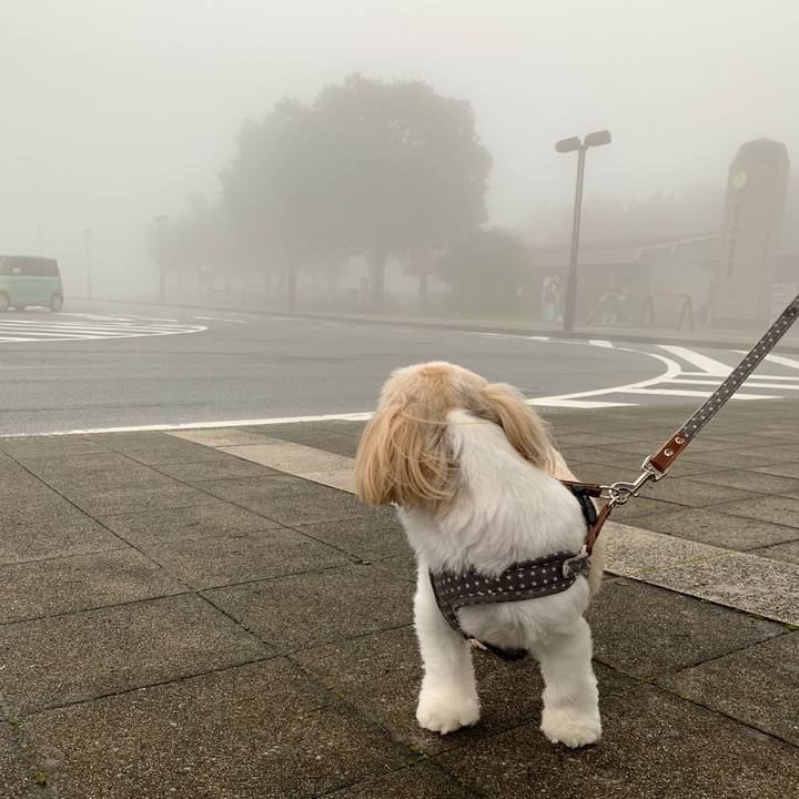 0098a860 9c0f 4dca bbb8 d3a1923c9027 1595485699495