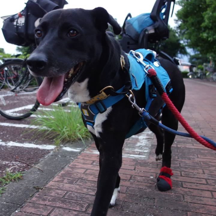 0098dfae 8e50 4558 80a9 0d4ef2979bdc 1623764679371