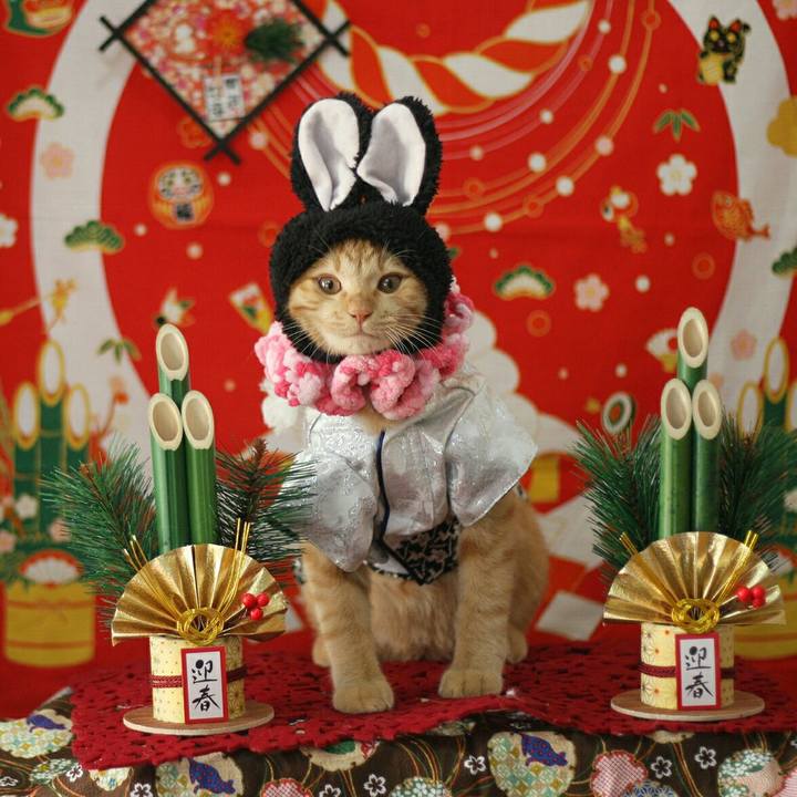 00991824 7e36 41c4 bb36 f23930a8708f 1546272193530