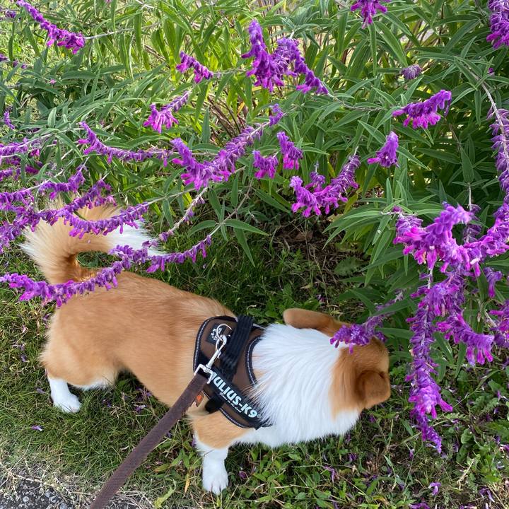 00991fd2 8e15 4e6d ad20 b18acda119b0 1634336967338