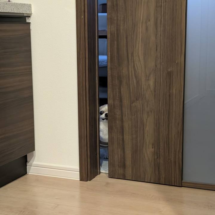 0099464e 21ea 43cc 8756 20027e2fc341 1774342117236