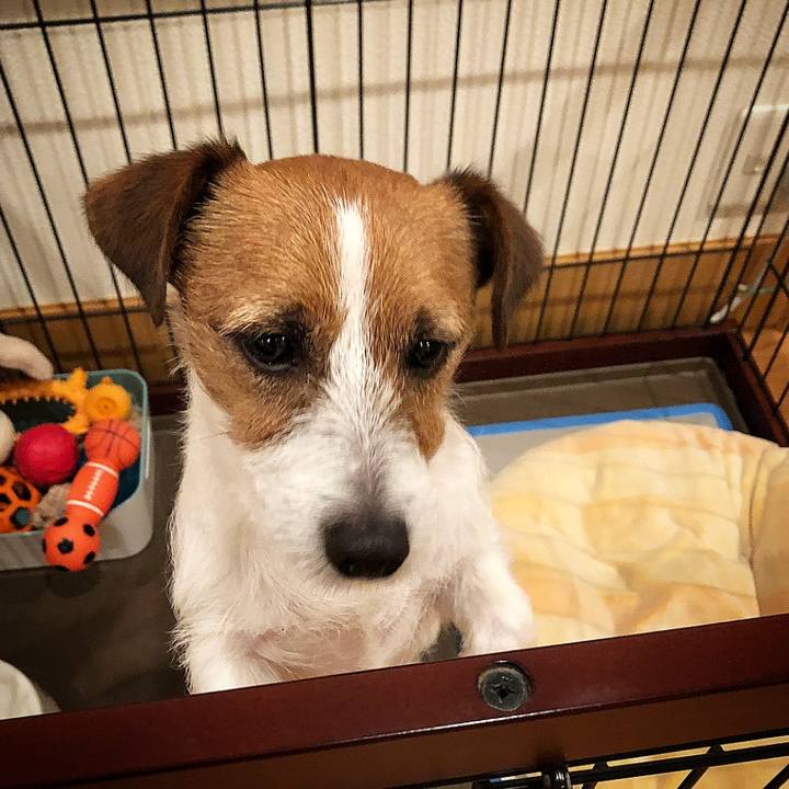 00994da4 6879 43f4 a874 5deed9224cac 1512736815772