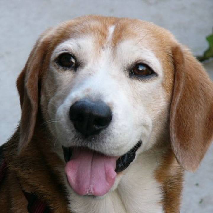 00997fbc e81e 49bd bf86 e748ece6ac14 1642294929748