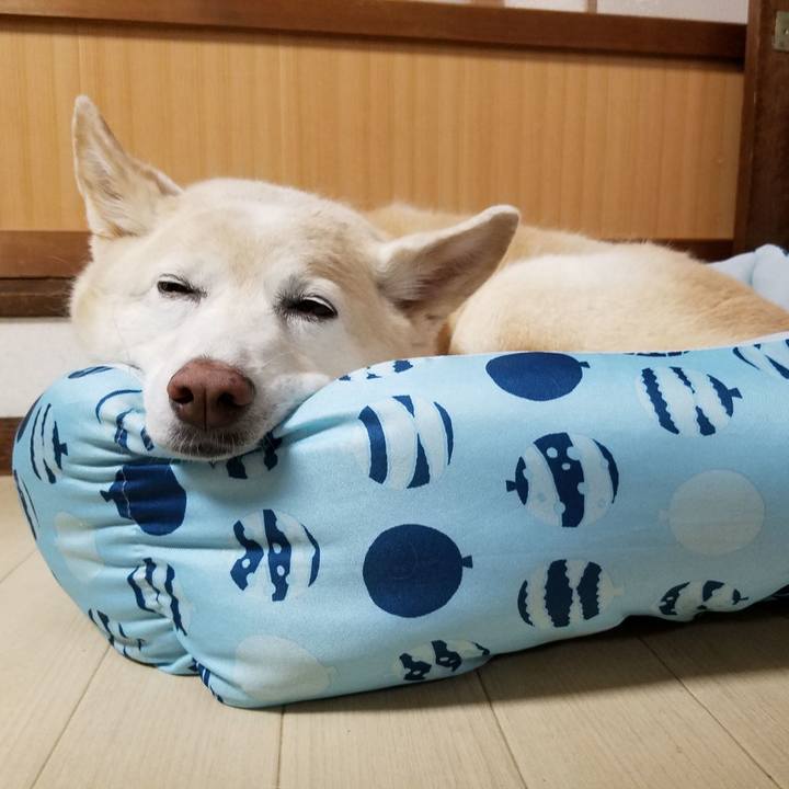 009a07a8 7208 4d4b 8854 608dd16ea18f 1567746616836