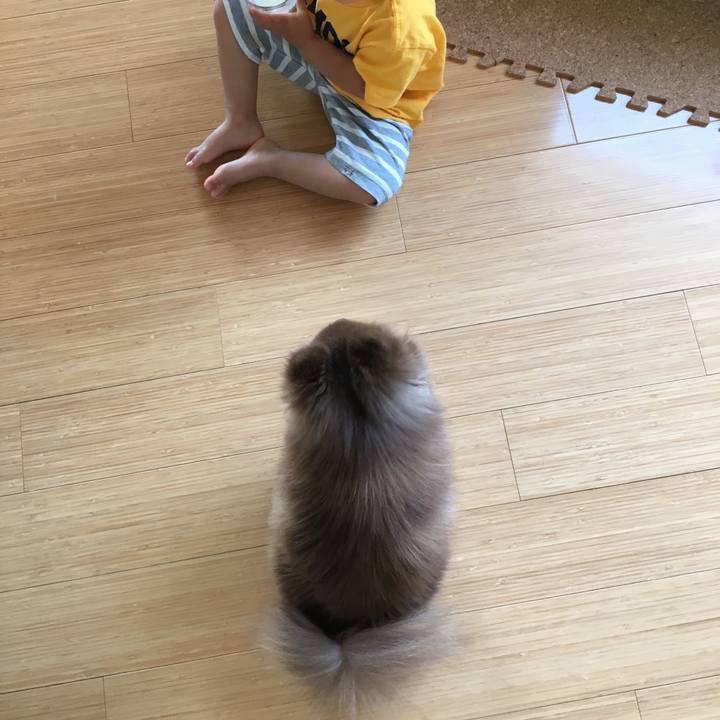 009a29ce 1462 4037 9f2f cdd1ef374bec 1528349690759