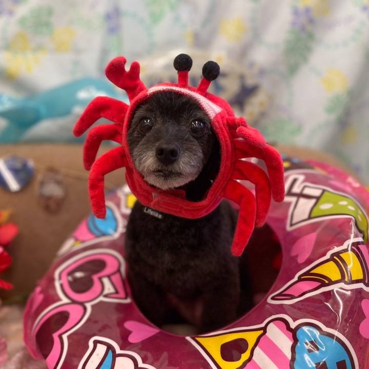 009a366e d1d9 4ed0 beeb d1f5ca3c26a5 1627210498306