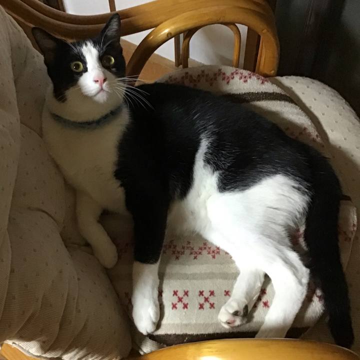 009a4e99 b663 47b0 b748 ed3920e57048 1660909819043