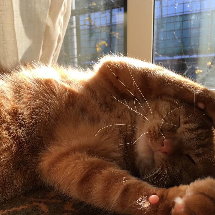 009a5598 dc43 466a baf5 245b81017bfa 1517963260650