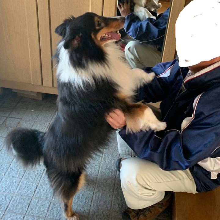 009a8289 c4cf 4170 a8c6 bc86881ddf2a 1590702508046