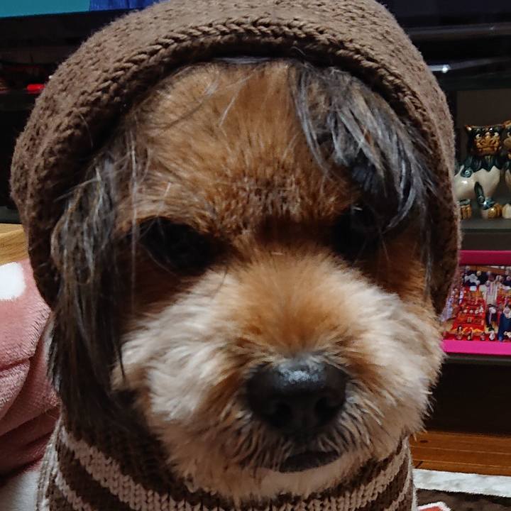 009aa46e 1f45 4337 8486 c7d7b5ff961a 1545747543815