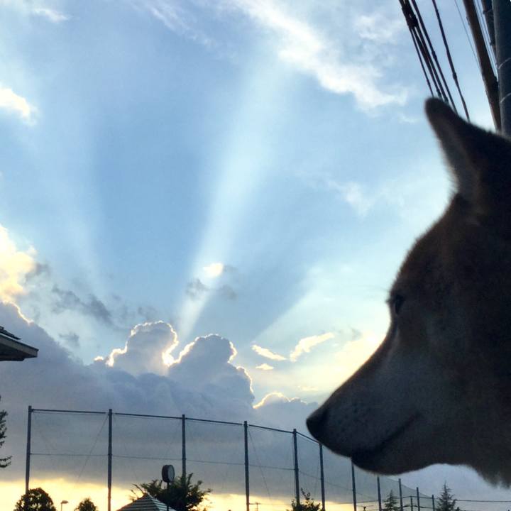 009abba9 11ad 40d9 9821 a7c053485d71 1628244516107