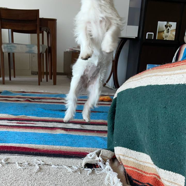 009ac154 8bf2 4669 8458 4d96d9170d60 1767098704451