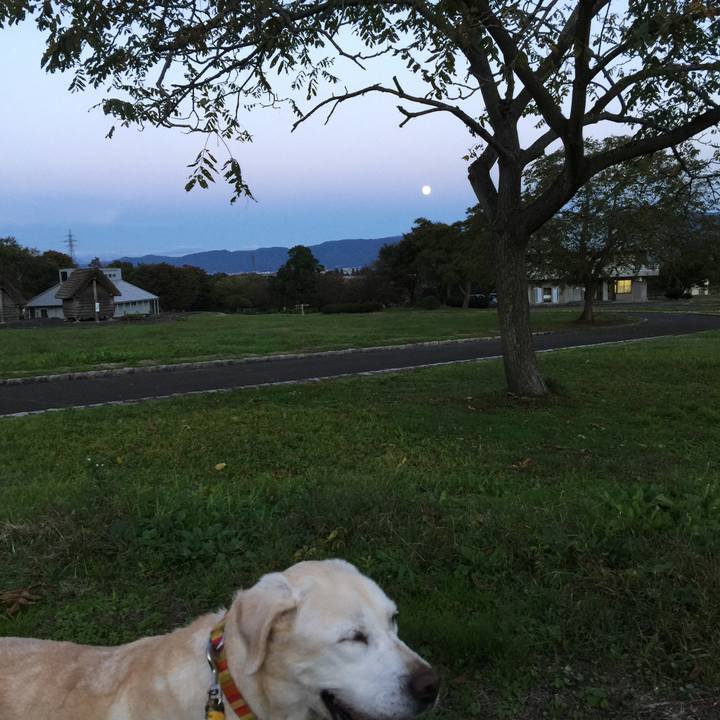 009ac609 2ff3 4f39 a459 57c2bd26b1a7 1540285121413