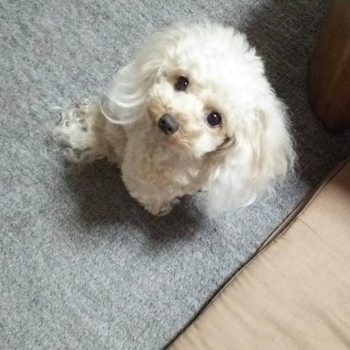 009ae856 53cb 467b 8aa6 a7961aba2822 1535502915487