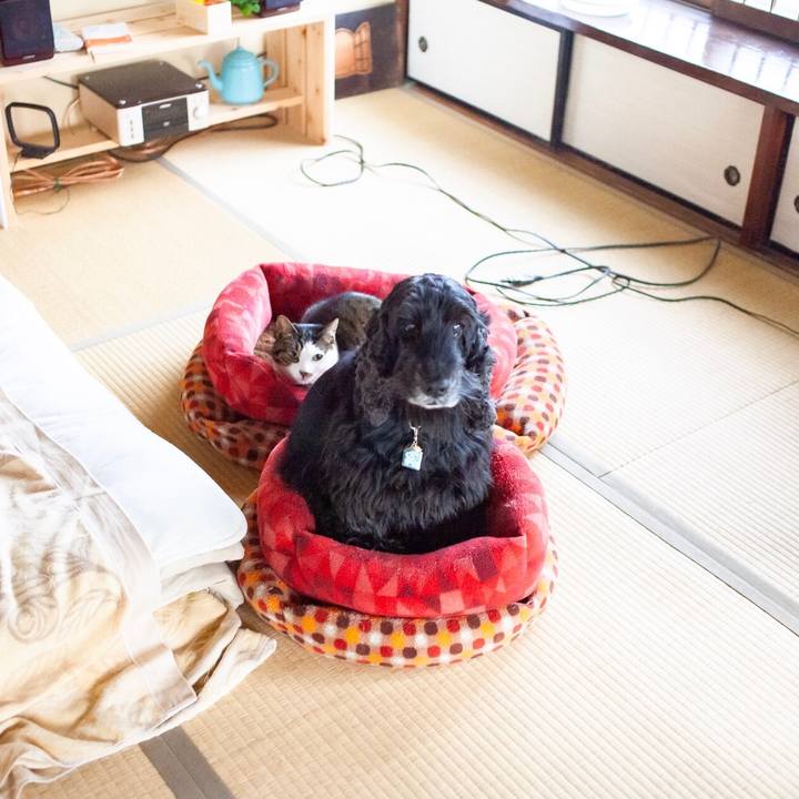 009af7b3 a4cf 42d0 94c7 97ad5382e9cc 1587894205997