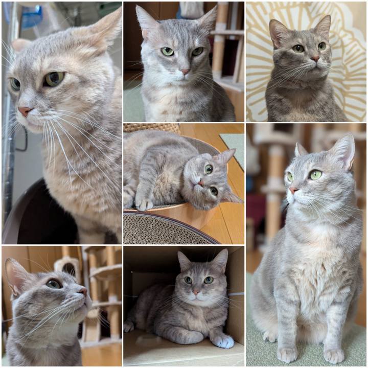 009b3166 4374 4d5b a0d4 333ed2bee47e 1742021380087