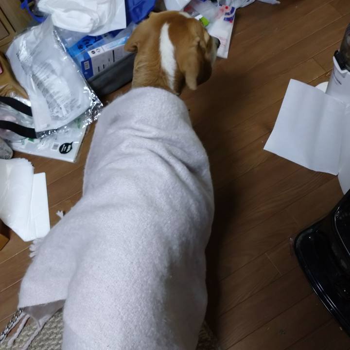 009b979f 4924 4f67 b2a1 b49d4d8d53d6 1608103600525