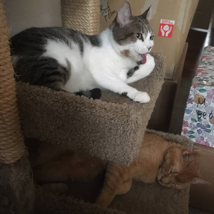 009bb1c5 63b4 49b4 82a7 19ef9320bc60 1645459074282