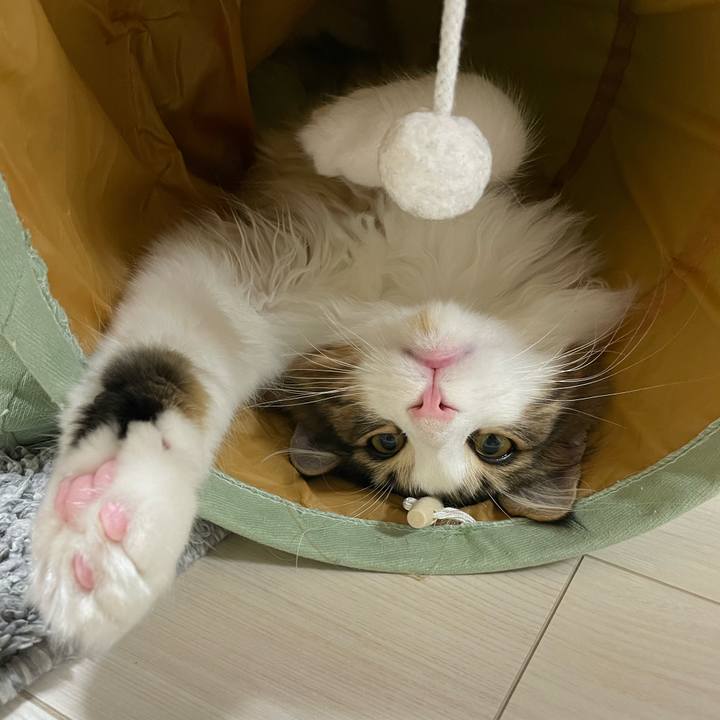 009bde21 617b 4336 9d84 f0380744f0ae 1639215127788