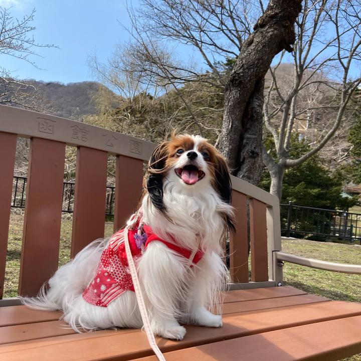 009c1bab 57a3 489e 907e 768a2d363958 1680407741879