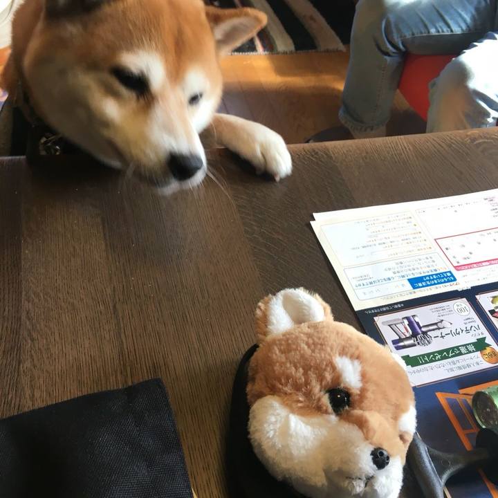 009c404d 4ff4 4834 b050 8ced4faba2f3 1510310568773