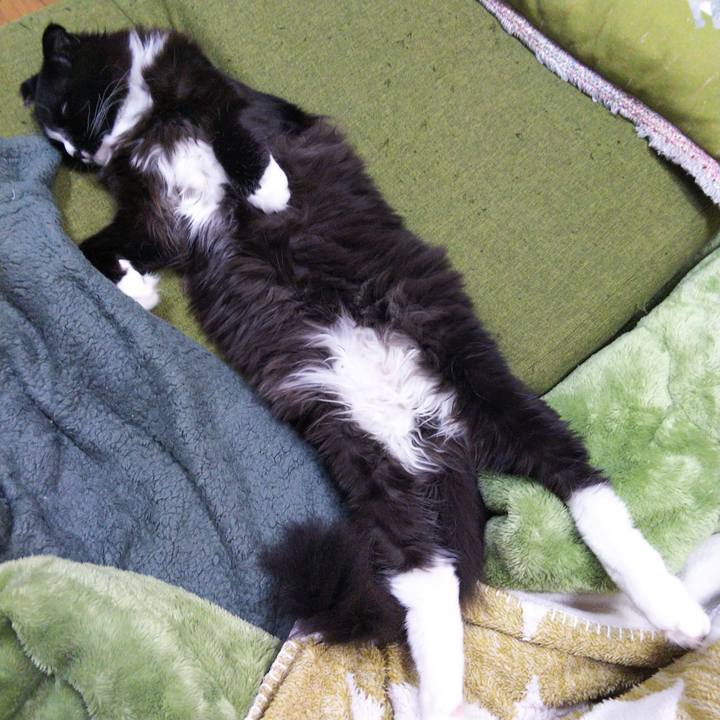 009c703b fd94 45f4 8adc f945ea8c0333 1648084825961