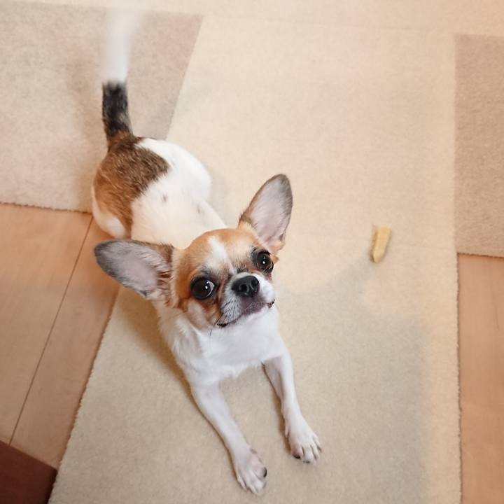 009c9cd7 c4e5 4e34 a865 aa71af653145 1567210615099