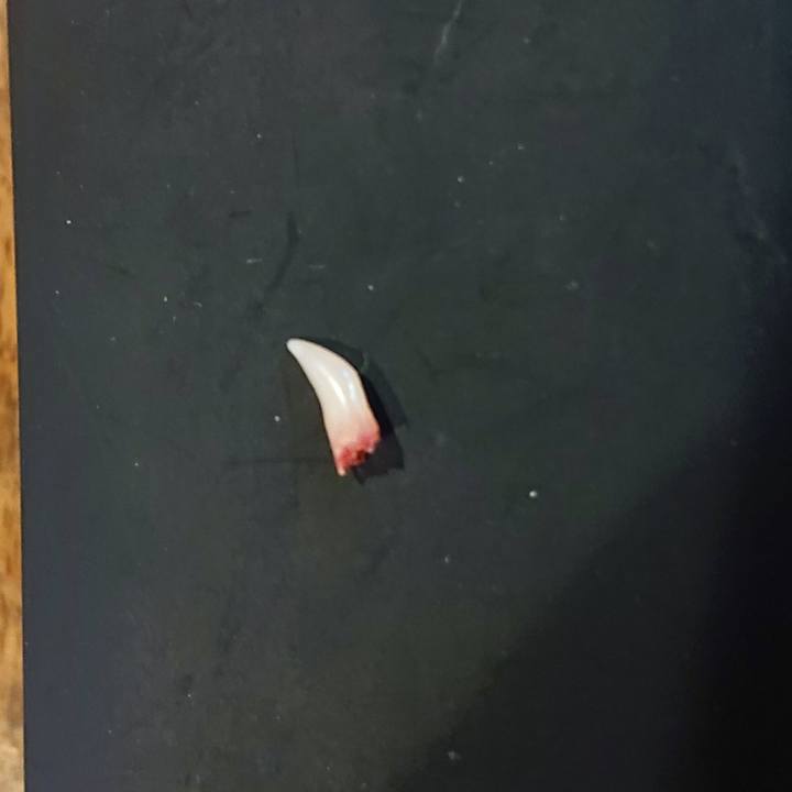 009cebf7 5f08 431b b353 e690e5623c72 1551181741195