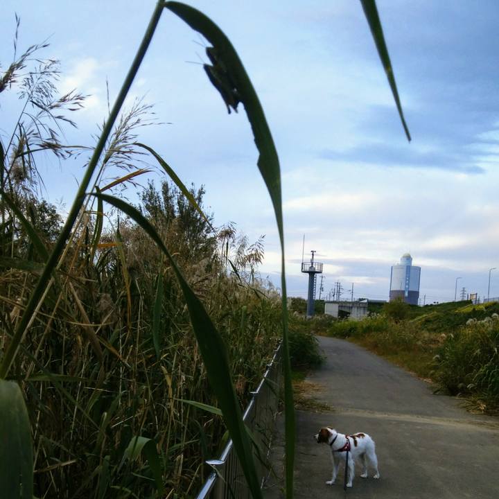 009d7ac0 26b1 4016 a6bf 75403760f845 1540554151040