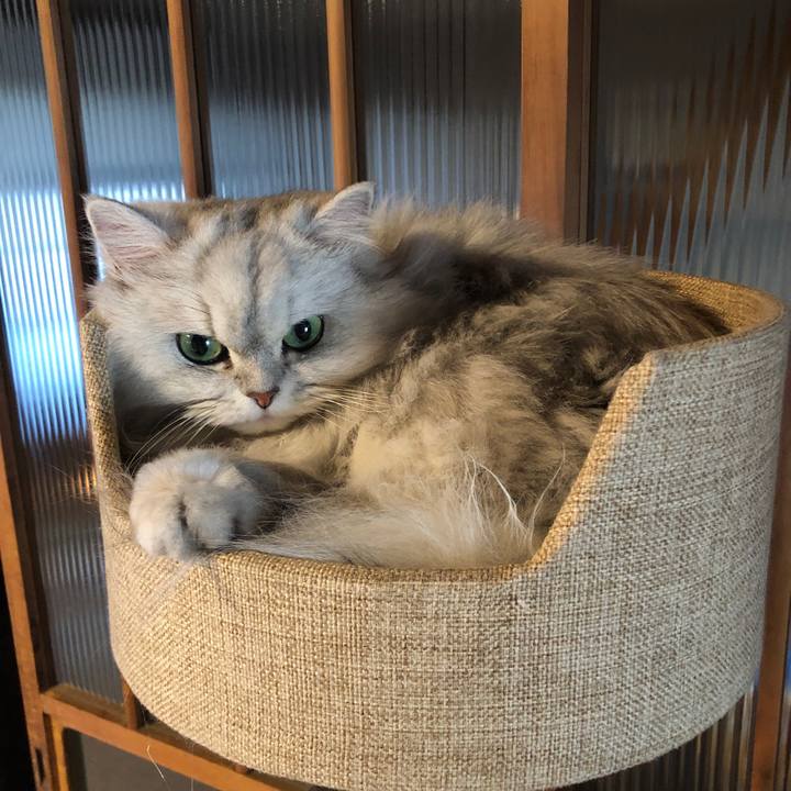 009d8470 3d6b 4a0e 8178 d64d57040501 1580989366304