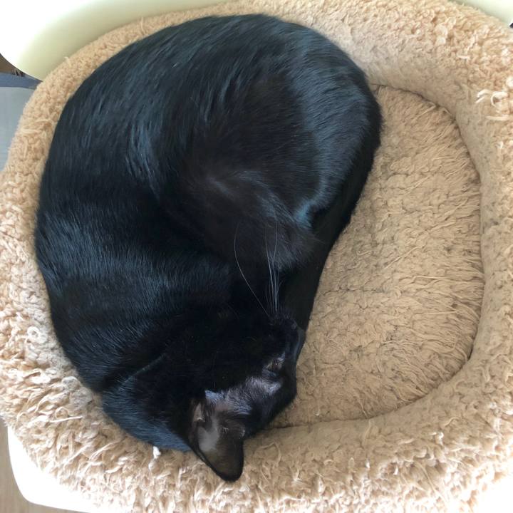 009df83f 6af0 4707 b8f8 495735d011ba 1584254400896