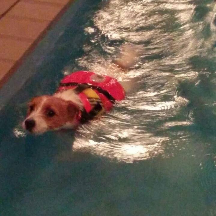 009e39c4 7c2b 432c acef aa8423d420e0 1514936940466