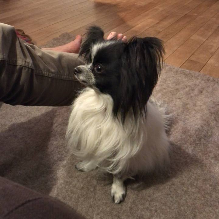 009e57f1 b51a 4ada 8cf4 692306ac81c6 1519741615617